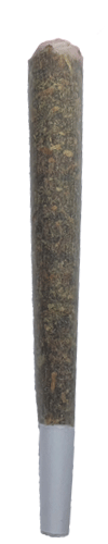 joint