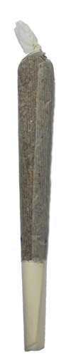 joint