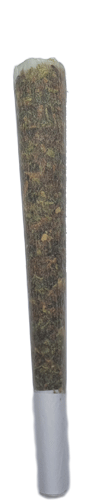 joint
