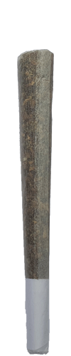 joint