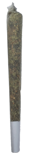 joint